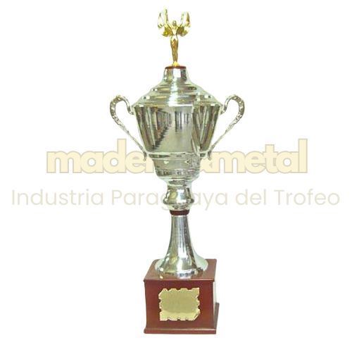 Imagen de Copa de metal con tapa - M5.5030
